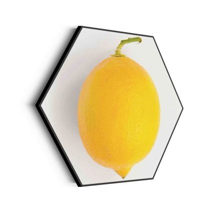 akoestisch-schilderij-lemon-citroen-hexagon_Wecho