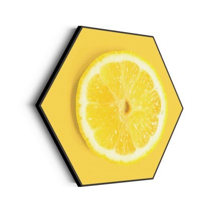 akoestisch-schilderij-citroenschijfje-hexagon_Wecho