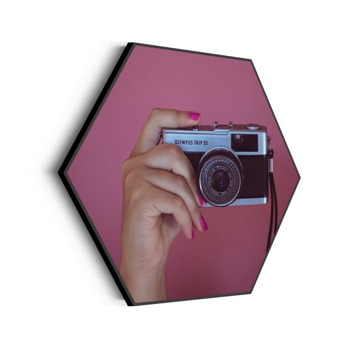 akoestisch-schilderij-old-school-fotocamera-hexagon_Wecho