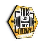 akoestisch-schilderij-this-is-my-therapy-hexagon_Wecho