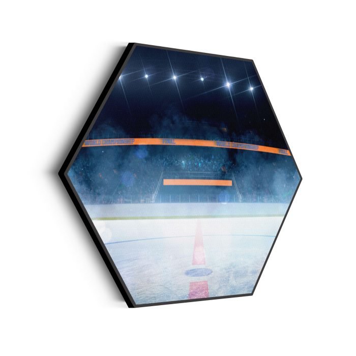 akoestisch-schilderij-ijshockey-pitch-hexagon_Wecho