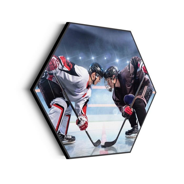 akoestisch-schilderij-ijshockey-battle-hexagon_Wecho