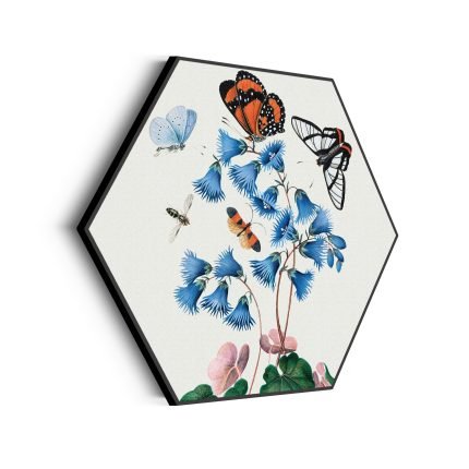 akoestisch-schilderij-prent-natuur-vogel-en-bloemen-04-hexagon_Wecho