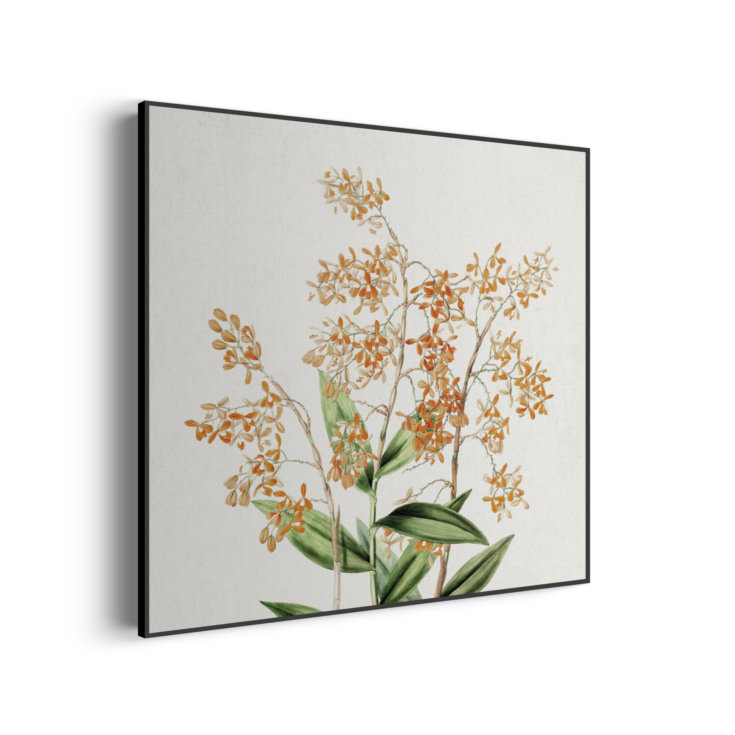 akoestisch-schilderij-prent-bloemen-vierkant_Wecho akoestisch-schilderij-prent-bloemen-vierkant_Wecho