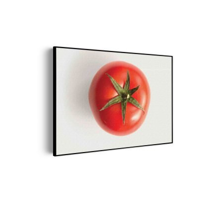 akoestisch-schilderij-tomato-rechthoek-horizontaal_Wecho