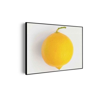 akoestisch-schilderij-lemon-citroen-rechthoek-horizontaal_Wecho