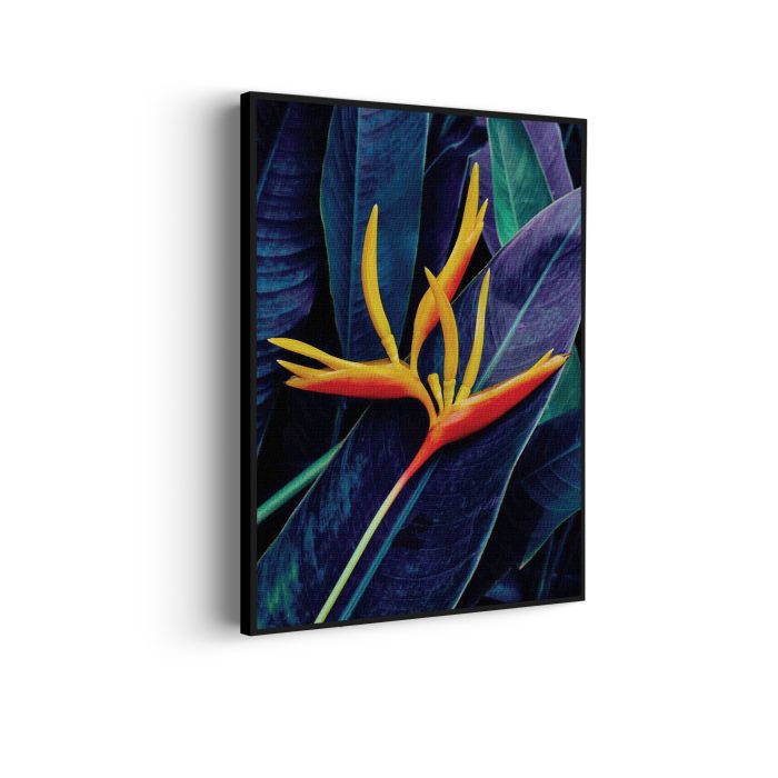 akoestisch-schilderij-heliconia-bloem-op-donkere-achtergrond-rechthoek-verticaal_Wecho