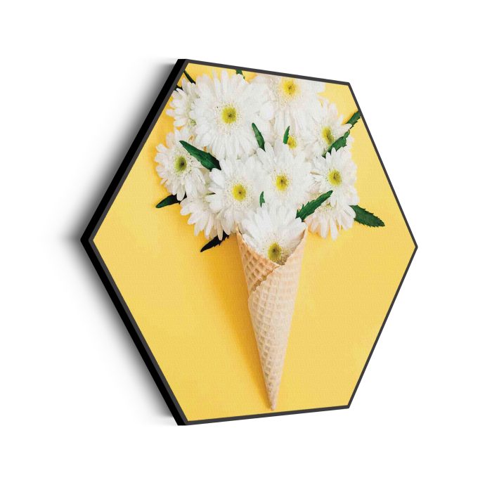 akoestisch-schilderij-ijshoorn-met-bloemen-hexagon_Wecho