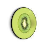 akoestisch-schilderij-kiwi-rond-muurcirkel_Wecho