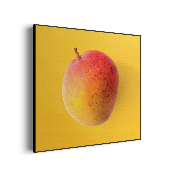 akoestisch-schilderij-mango-vierkant_Wecho