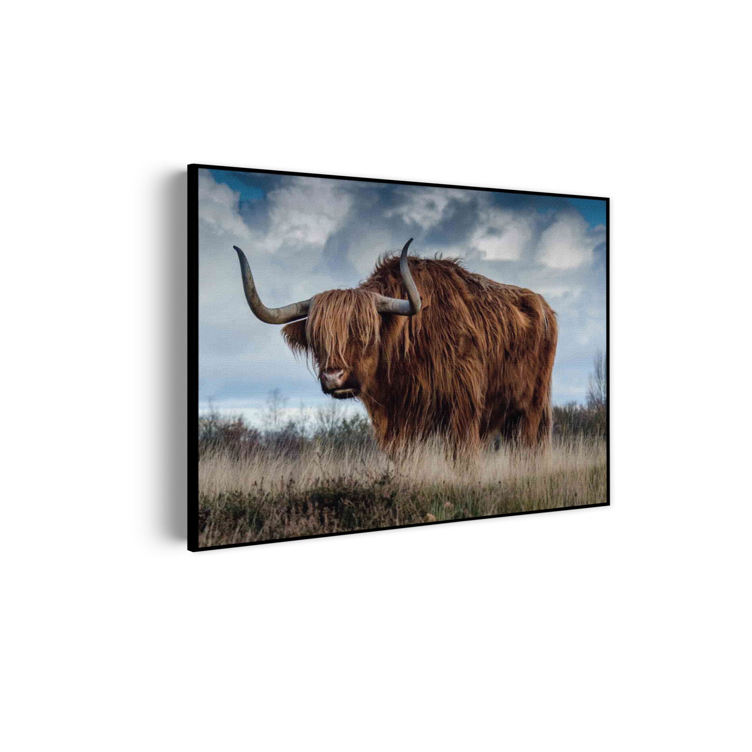 akoestisch-schilderij-bizon-rechthoek-horizontaal_Wecho akoestisch-schilderij-bizon-rechthoek-horizontaal_Wecho