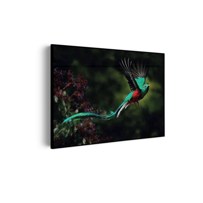 akoestisch-schilderij-schitterende-vliegende-quetzal-vogel-rechthoek-horizontaal_Wecho