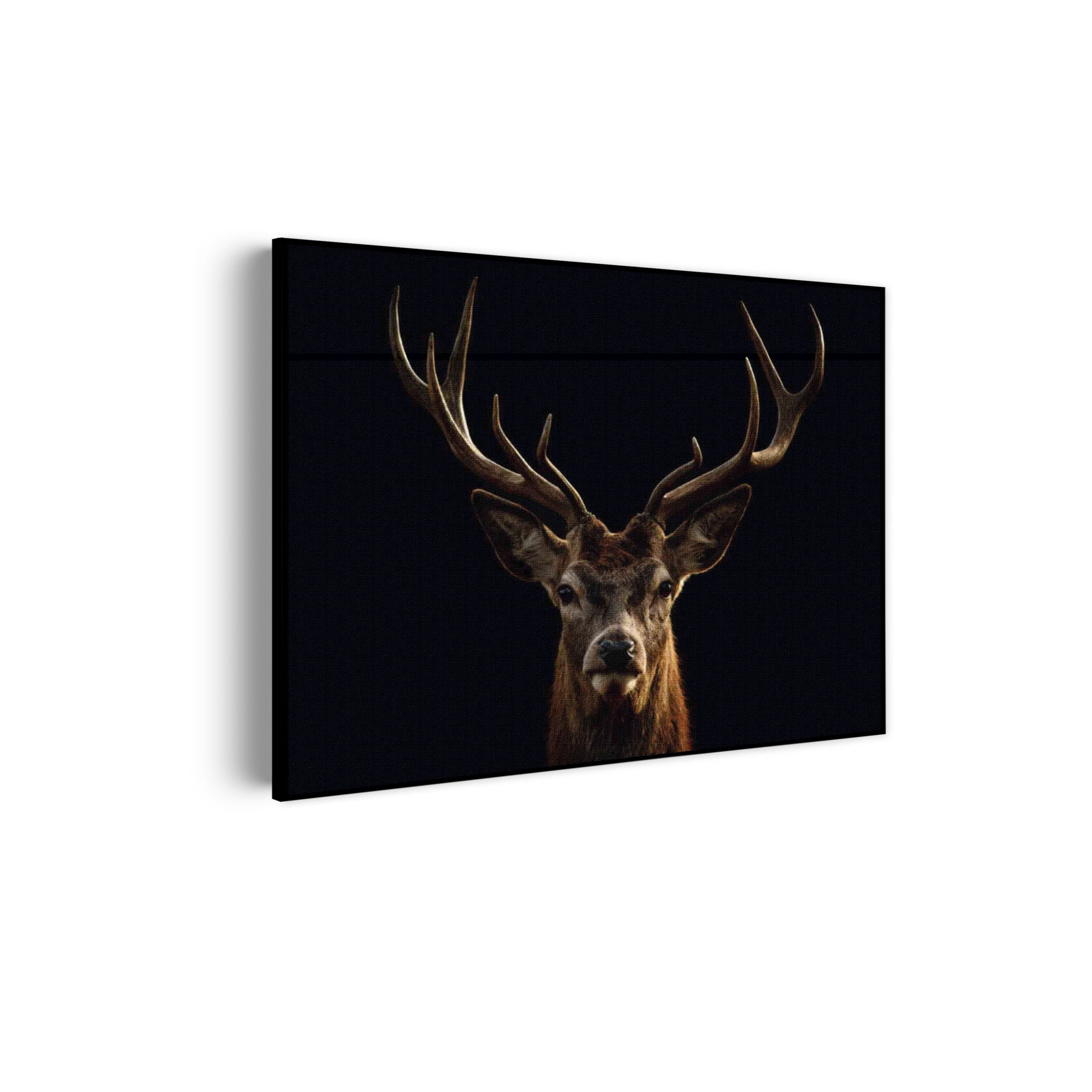 akoestisch-schilderij-edelhert-met-zwarte-achtergrond-rechthoek-horizontaal_Wecho akoestisch-schilderij-edelhert-met-zwarte-achtergrond-rechthoek-horizontaal_Wecho