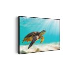 akoestisch-schilderij-zeeschildpad-in-helderblauw-water-04-rechthoek-horizontaal_Wecho
