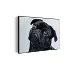 akoestisch-schilderij-mopshond-zwart-rechthoek-horizontaal_Wecho