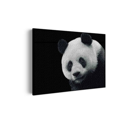akoestisch-schilderij-pandabeer-zwart-wit-02-rechthoek-horizontaal_Wecho