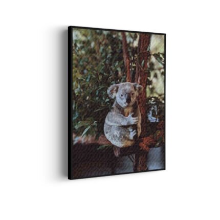 akoestisch-schilderij-de-vastgelamde-koala-rechthoek-verticaal_Wecho