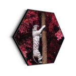 akoestisch-schilderij-de-witte-tijger-hexagon_Wecho