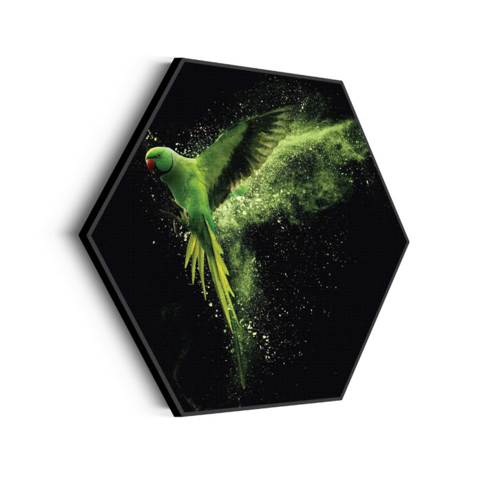 akoestisch-schilderij-de-groene-parkiet-hexagon_Wecho