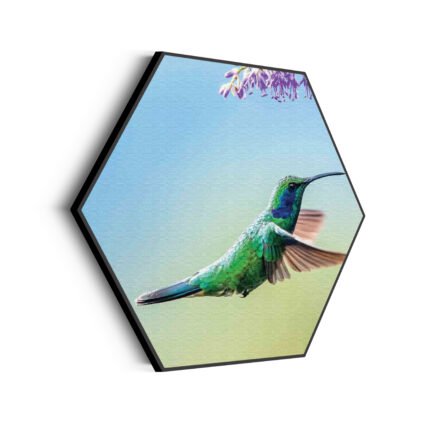 akoestisch-schilderij-colibri-onderweg-naar-lavendel-hexagon_Wecho