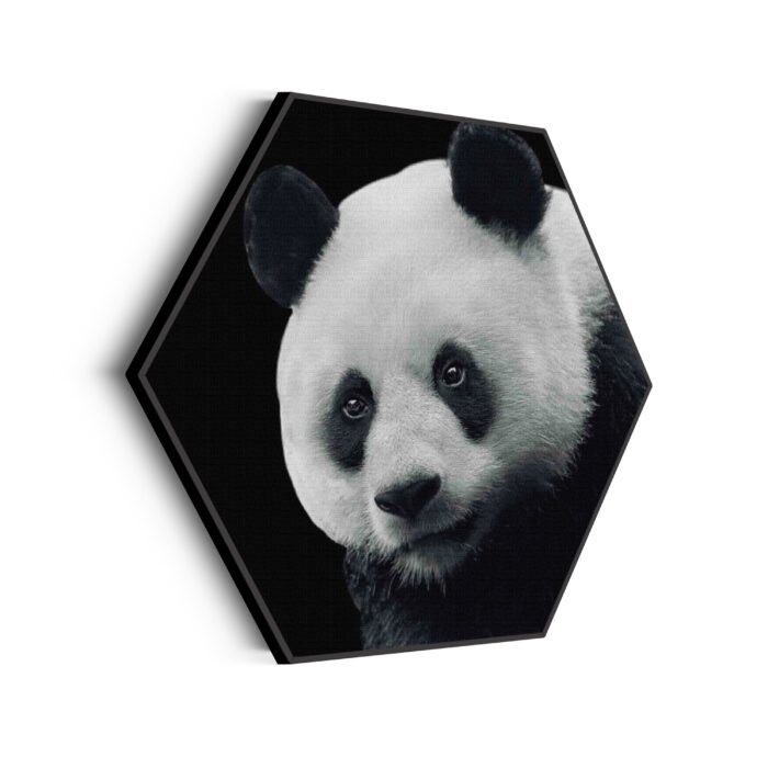 akoestisch-schilderij-pandabeer-zwart-wit-02-hexagon_Wecho