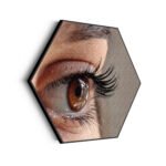 akoestisch-schilderij-het-bruine-oog-hexagon_Wecho
