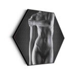 akoestisch-schilderij-blote-vrouw-lichaam-hexagon_Wecho