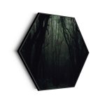 akoestisch-schilderij-het-donkere-bos-hexagon_Wecho