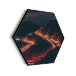 akoestisch-schilderij-california-dreaming-hexagon_Wecho