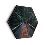 akoestisch-schilderij-over-de-brug-hexagon_Wecho