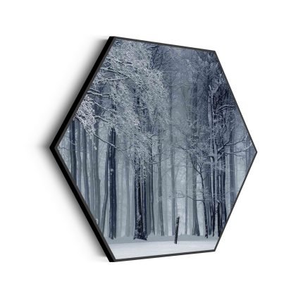 akoestisch-schilderij-het-winterse-bos-hexagon_Wecho