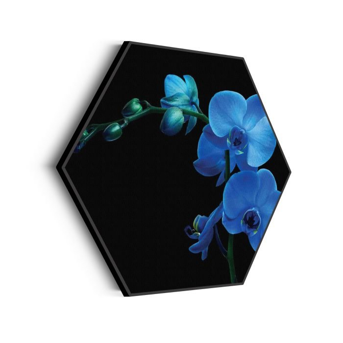 akoestisch-schilderij-orchidee-hexagon_Wecho