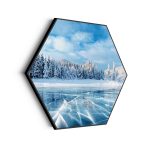 akoestisch-schilderij-ijzige-winter-hexagon_Wecho