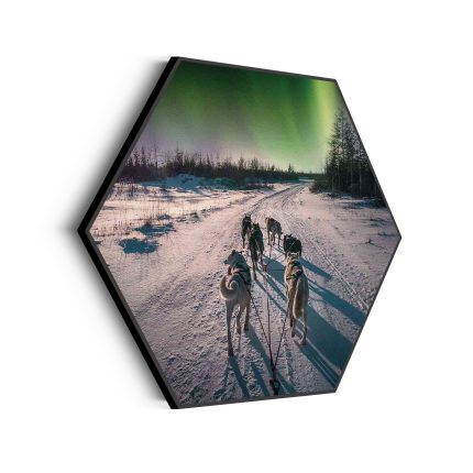 akoestisch-schilderij-huskies-door-lapland-hexagon_Wecho