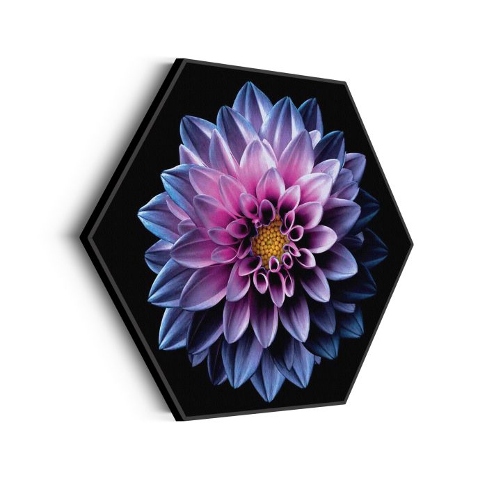 akoestisch-schilderij-paarse-dahlia-hexagon_Wecho