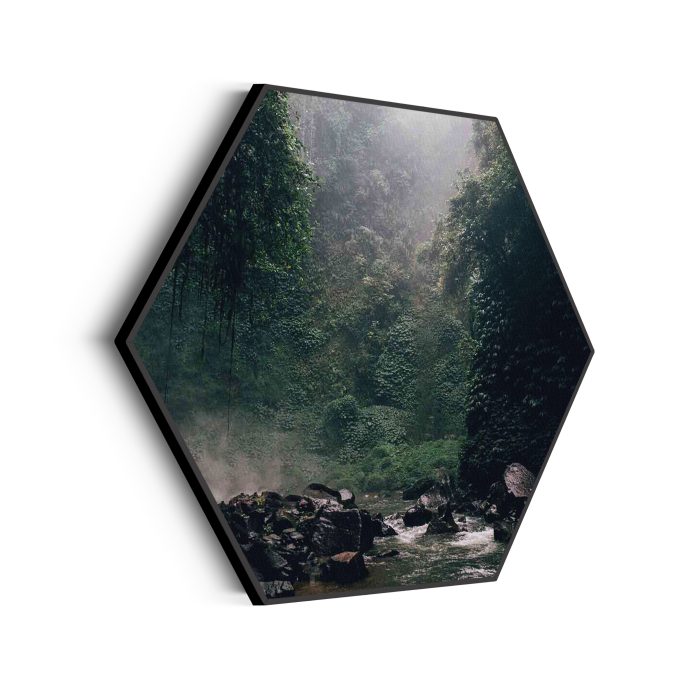akoestisch-schilderij-het-natuurgeweld-hexagon_Wecho