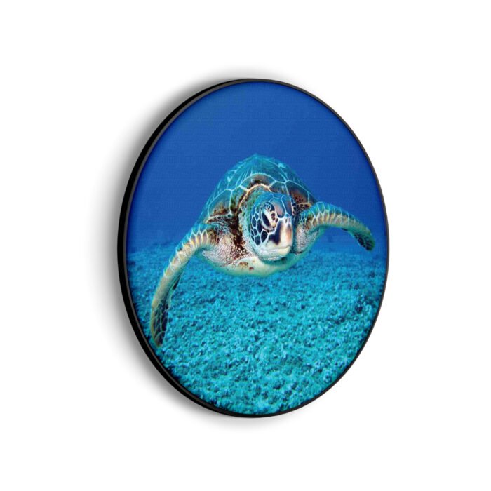 akoestisch-schilderij-zeeschildpad-in-helderblauw-water-01-rond-muurcirkel_Wecho