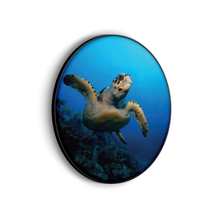 akoestisch-schilderij-zeeschildpad-in-helderblauw-water-02-rond-muurcirkel_Wecho
