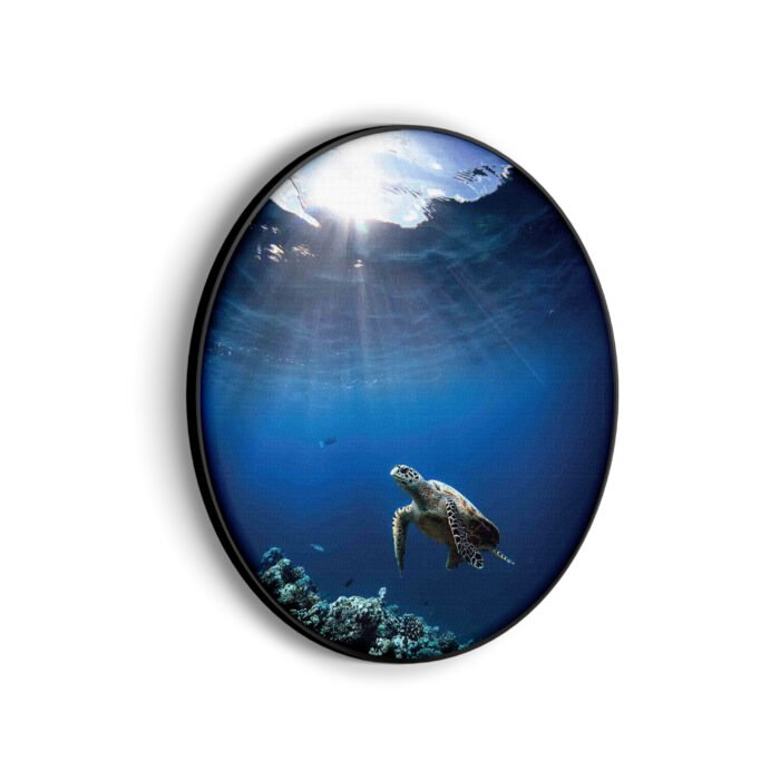 akoestisch-schilderij-zeeschildpad-in-helderblauw-water-03-rond-muurcirkel_Wecho