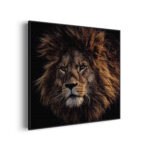 akoestisch-schilderij-the-lion-vierkant_Wecho