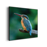 akoestisch-schilderij-de-ijsvogel-vierkant_Wecho