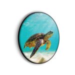 akoestisch-schilderij-zeeschildpad-in-helderblauw-water-04-rond-muurcirkel_Wecho