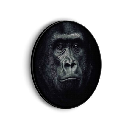 akoestisch-schilderij-de-gorilla-aap-rond-muurcirkel_Wecho