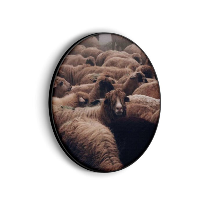 akoestisch-schilderij-kudde-schapen-rond-muurcirkel_Wecho