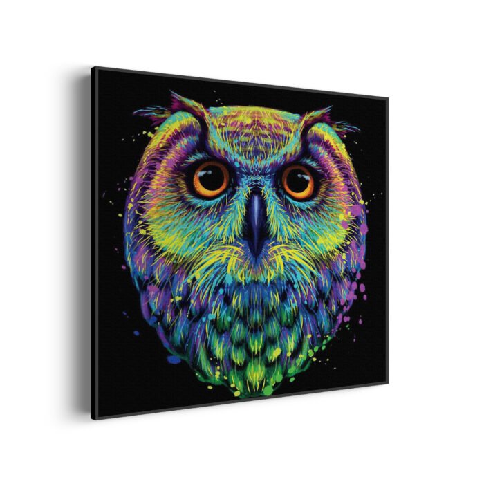 akoestisch-schilderij-colored-owl-01-vierkant_Wecho