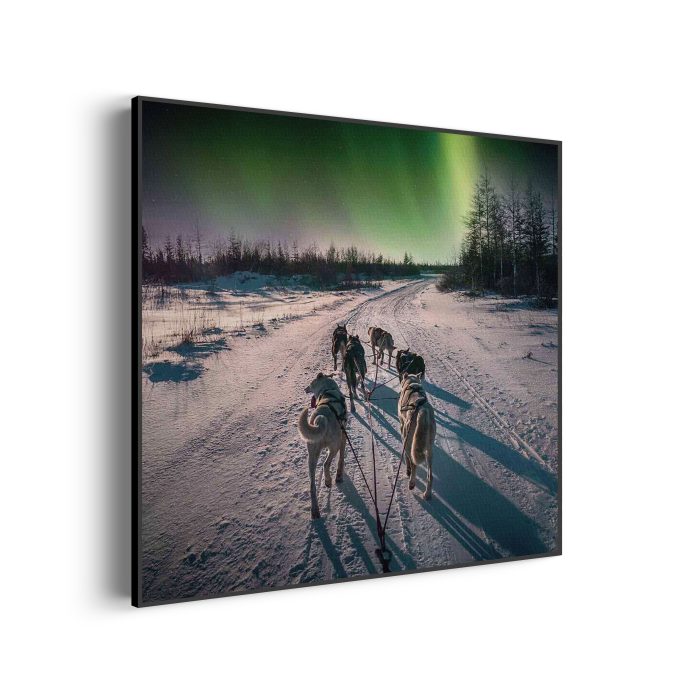 akoestisch-schilderij-huskies-door-lapland-vierkant_Wecho